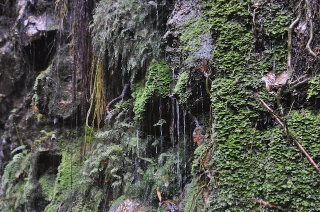 Montezua Falls